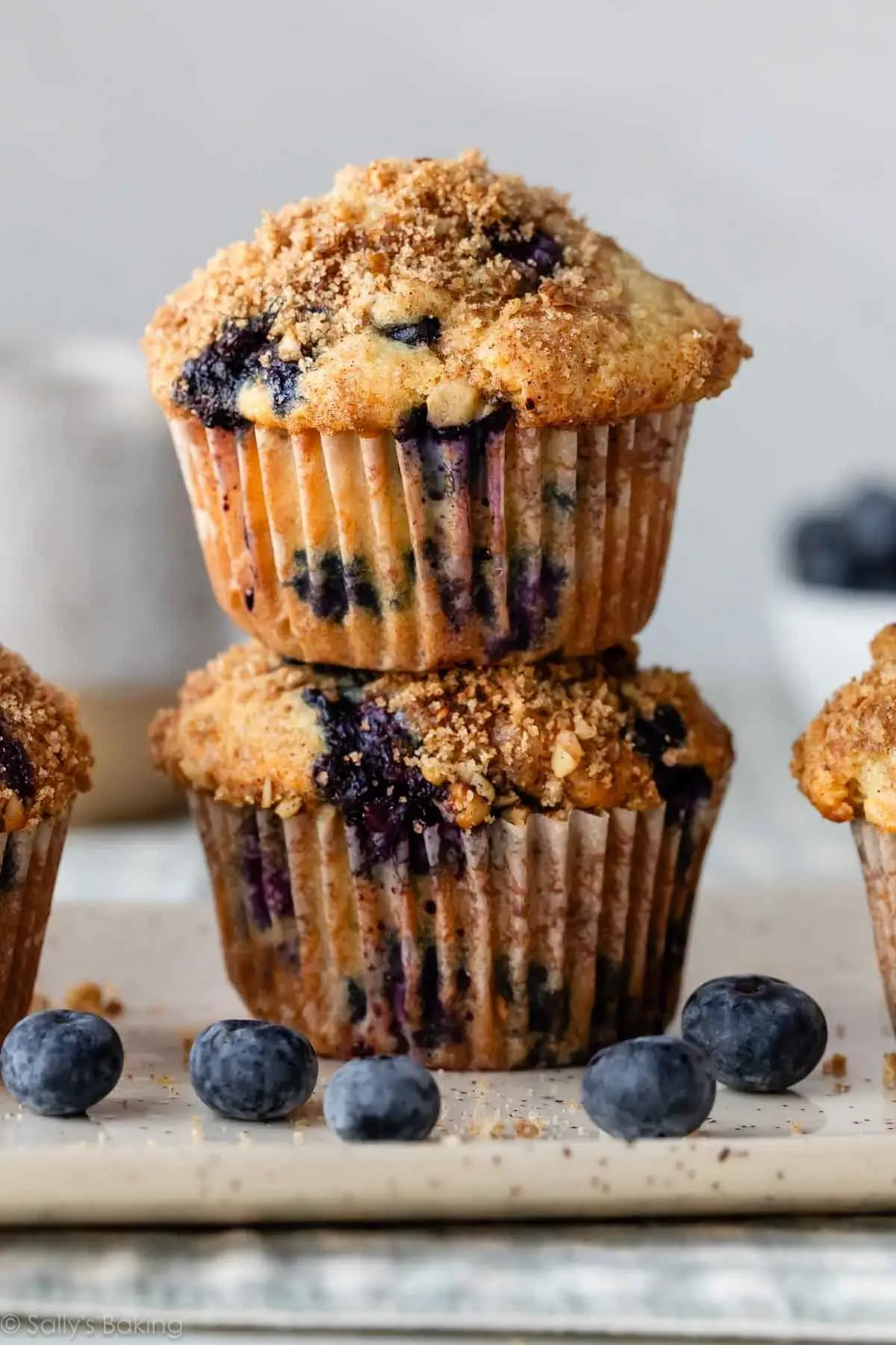 Blueberry Muffin